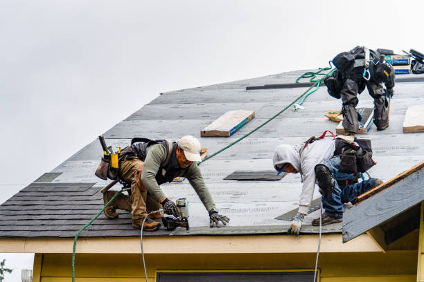 Professional Roofing technician working in Nada, TX